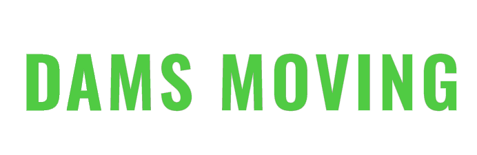 D.A.M.S. MOVERS Company logo